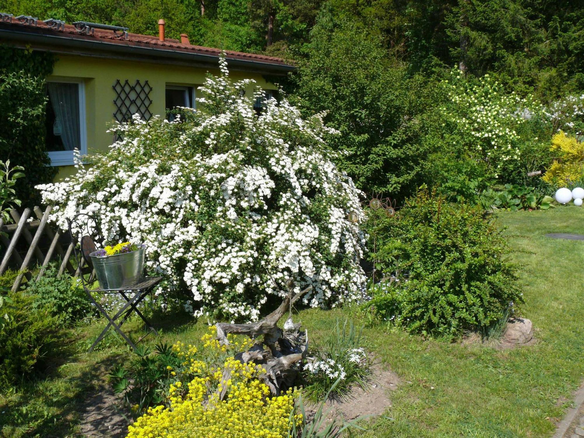 Tinchen Prora Ruegen Apartment